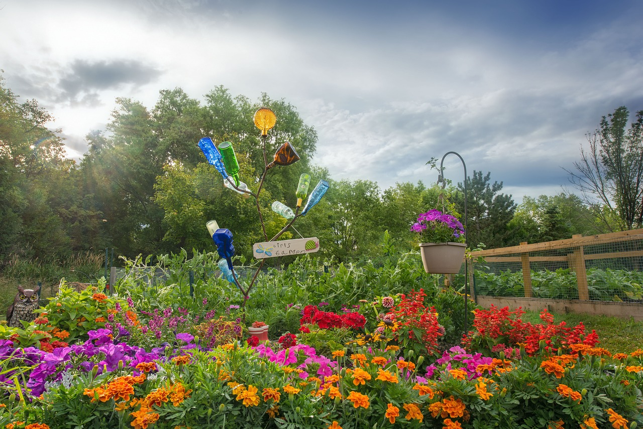 What are the Basics of Aquaponic Gardening?